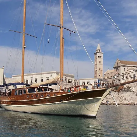Queen South Ii * Trani